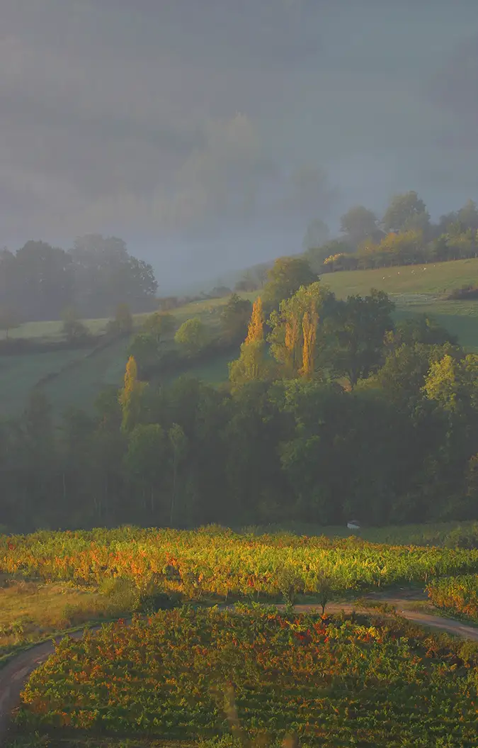 Aveyron